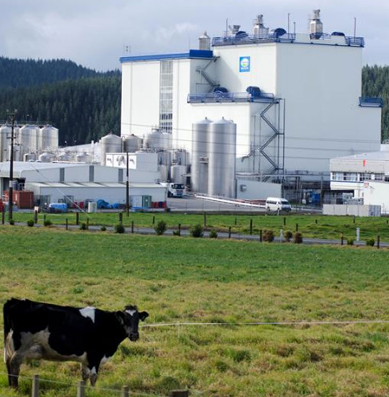 Wormald Professional